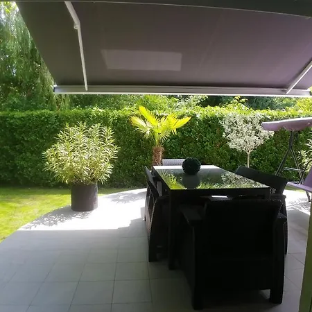 Zsolnai * 希欧福克