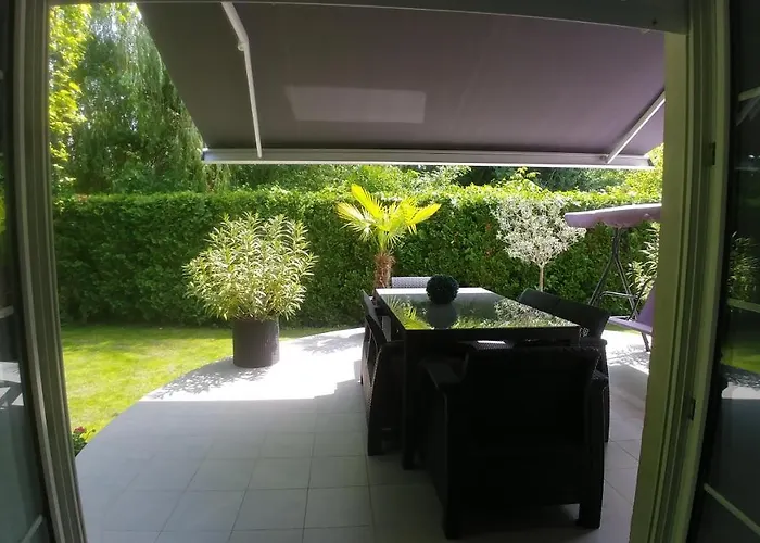 Zsolnai * シオーフォク